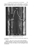 giornale/TO00197278/1938/unico/00000603