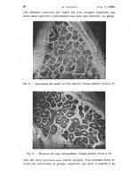 giornale/TO00197278/1939/unico/00000040