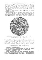 giornale/TO00197278/1941/unico/00000089
