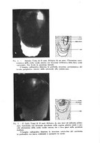 giornale/TO00197278/1941/unico/00000389