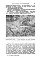 giornale/TO00197278/1943/unico/00000219