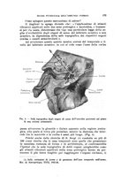 giornale/TO00197278/1943/unico/00000263