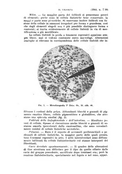 Il Valsalva rivista mensile di oto-rino-laringojatria