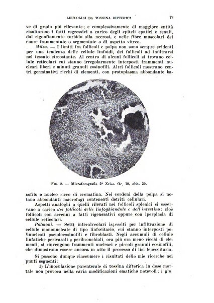 Il Valsalva rivista mensile di oto-rino-laringojatria