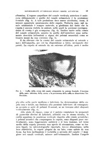 Il Valsalva rivista mensile di oto-rino-laringojatria