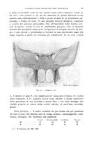 giornale/TO00197278/1945/unico/00000067