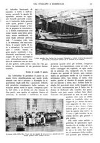 giornale/TO00197546/1924/unico/00000077