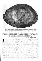 giornale/TO00197546/1924/unico/00000291