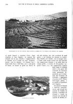 giornale/TO00197546/1924/unico/00000346