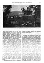 giornale/TO00197546/1924/unico/00000349