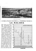 giornale/TO00197546/1924/unico/00000359