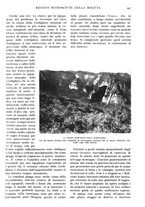 giornale/TO00197546/1924/unico/00000453