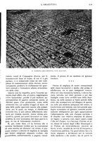 giornale/TO00197546/1924/unico/00000599