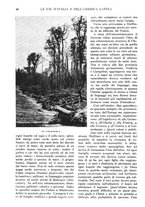 giornale/TO00197546/1925/unico/00000032