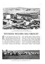 giornale/TO00197546/1925/unico/00000043