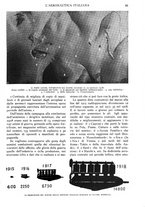 giornale/TO00197546/1925/unico/00000101