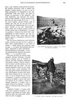giornale/TO00197546/1925/unico/00000927