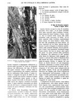 giornale/TO00197546/1925/unico/00001236