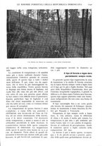 giornale/TO00197546/1925/unico/00001237