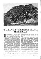 giornale/TO00197546/1926/unico/00000566