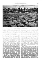 giornale/TO00197546/1927/unico/00000067