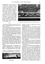 giornale/TO00197546/1927/unico/00000827