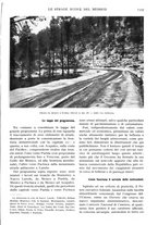 giornale/TO00197546/1927/unico/00001401