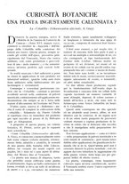 giornale/TO00197546/1927/unico/00001447