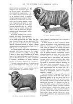 giornale/TO00197546/1929/unico/00000024