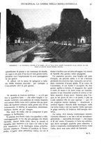 giornale/TO00197546/1929/unico/00000045