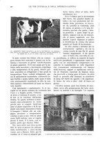 giornale/TO00197546/1929/unico/00000058