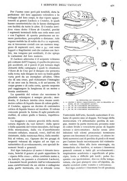 Le vie d'Italia e dell'America latina rivista mensile del Touring club italiano