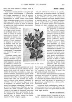 giornale/TO00197546/1929/unico/00000743