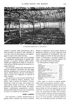 giornale/TO00197546/1929/unico/00000745