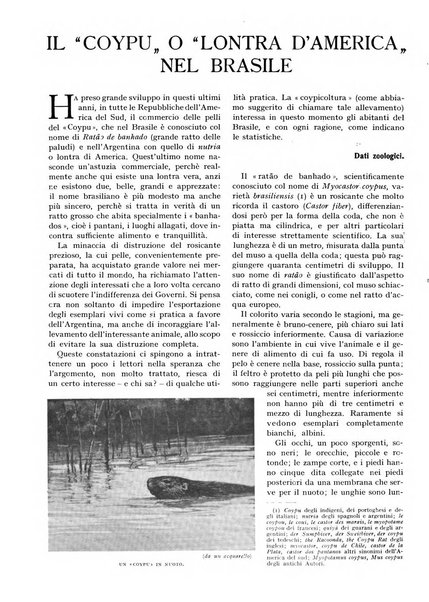 Le vie d'Italia e dell'America latina rivista mensile del Touring club italiano