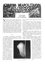 giornale/TO00197546/1930/unico/00000347