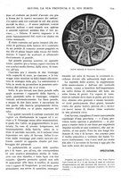 giornale/TO00197546/1930/unico/00000729