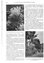 giornale/TO00197546/1930/unico/00000778