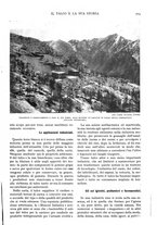 giornale/TO00197546/1930/unico/00000995