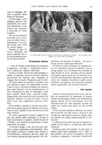 giornale/TO00197546/1931/unico/00000047