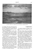 giornale/TO00197546/1931/unico/00000513