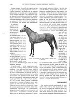 giornale/TO00197546/1931/unico/00001216