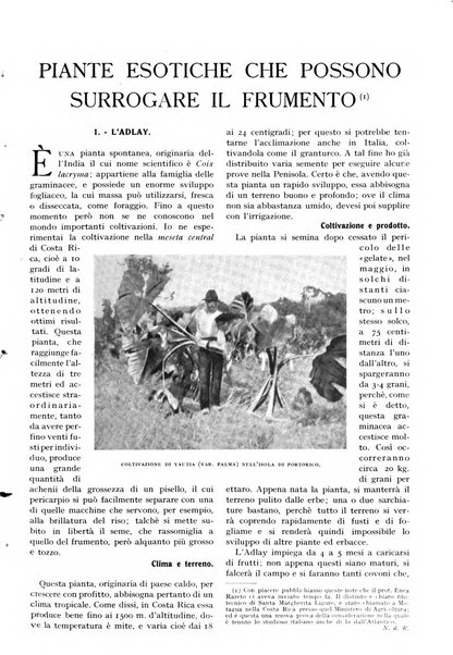 Le vie d'Italia e dell'America latina rivista mensile del Touring club italiano