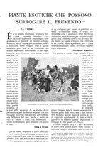 giornale/TO00197546/1932/unico/00000019