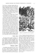 giornale/TO00197546/1932/unico/00000021