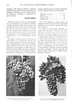 giornale/TO00197546/1932/unico/00000216