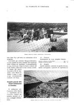 giornale/TO00197546/1932/unico/00000309