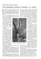 giornale/TO00197546/1932/unico/00000379