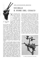 giornale/TO00197546/1932/unico/00000615