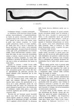 giornale/TO00197546/1932/unico/00000723